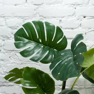 A close-up of a green indoor plant in a pot, adding a calming and natural touch to the space.